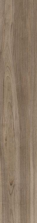 Harper Taupe 10 x 60
